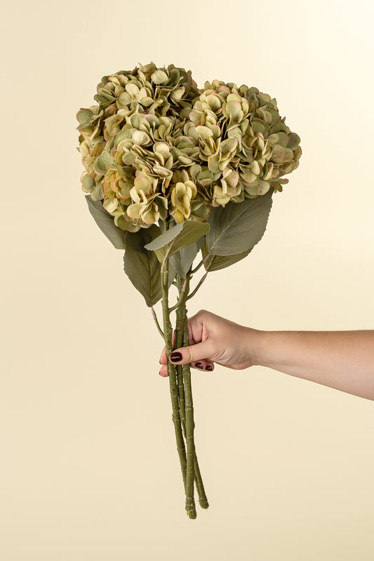Hydrangea Floral Stem - Faded Green