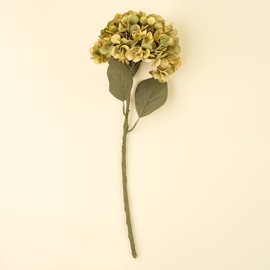 Hydrangea Floral Stem - Faded Green