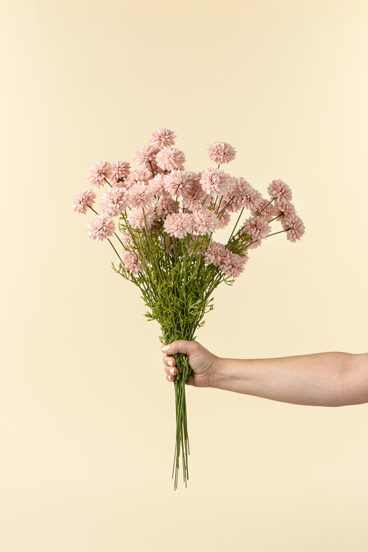 Mini Chrysanthemum Stem
